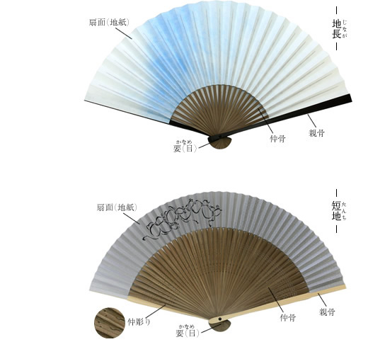 扇子の部位名称　扇子(夏扇子)のタイプは大きく分けて、地長(じなが)と短地(たんち)に分かれます。それぞれ扇面(地紙)、親骨、仲骨、要(かなめ)から構成されています。