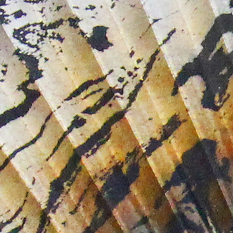 βǤ֤ͤʤ˵Ƥޤ