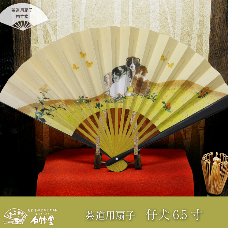 ƻҡҡڻƸ6.5
