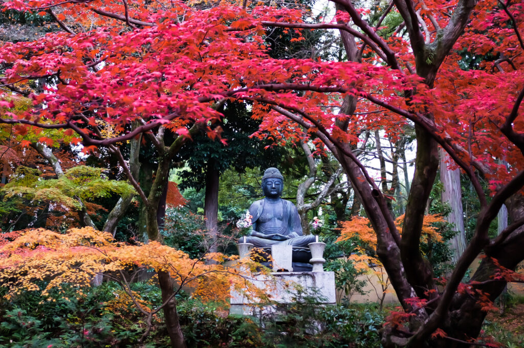 栄攝院のお庭と紅葉、大仏さま